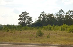 Anna Drive, McComb, MS 39648