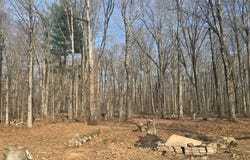 8 Starlight Drive, Monticello, NY 12701