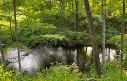 121 Stanford Rd, Millbrook, NY 12545