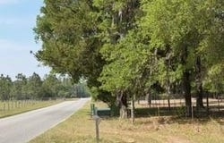 4760-A NW 55th Ave, Bell, FL 32619