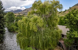1365 SUMAC DR, Logan, UT 84321