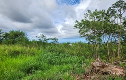 Kurtistown, HI 96760