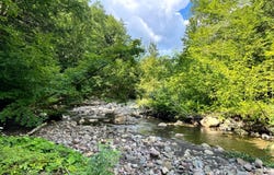 1.3 Tannery Rd, Western, NY 13486