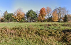 Ackerly Rd & Waverly Rd, Dalton, PA 18414