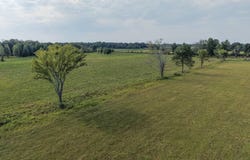 T.B.D. SWAYZER RD., Wisner, LA 71378