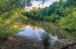 7793 Ridgeville Road, Leasburg, NC 27291