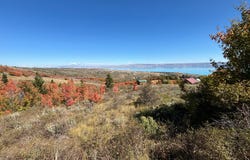 498 COLD SPRINGS Dr, Fish Haven, ID 83287