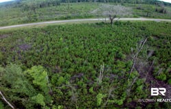 County Road 35, Evergreen, AL 36401