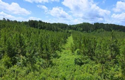 Three Point Rd lot: 54, Vonore, TN 37885