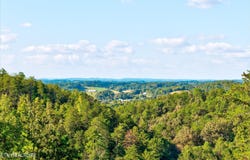 2462 Dogwood Loop Drive, Sevierville, TN 37876