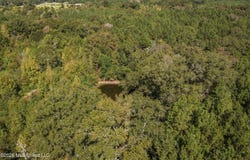 Allen Lane, Magnolia, MS 39652