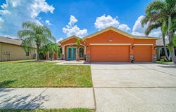 316 STAR SHELL Drive, APOLLO BEACH, FL 33572