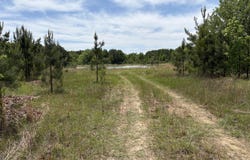 Finney Road, Canton, MS 39046