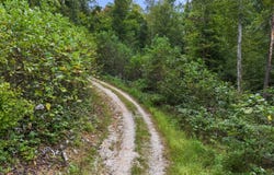 Sunset Valley lot: 106, Campton, KY 41301