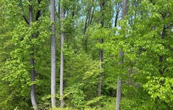 10340 GROSVENOR PL, NORTH BETHESDA, MD 20852