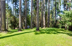 Agate St, Eugene, OR 97405