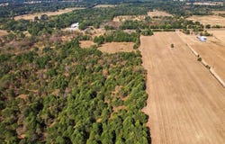 YBD Farm Road 273, Ivanhoe, TX 75447