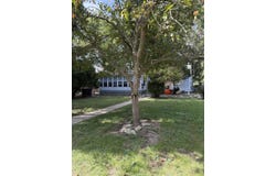 1011 Franklin Avenue, Normal, IL 61761