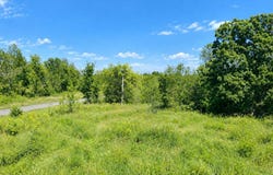 S 39 Highway, Stockton, MO 65785