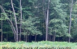 8975 Edgewater Drive, Stanwood, MI 49346