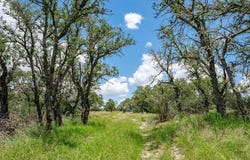 1632 Link lot: 12, Doss, TX 78618