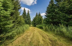 STATE HIGHWAY 17, Merrill, WI 54452