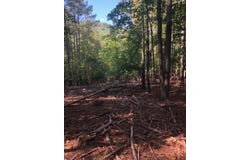 Plank Rd, Natural Bridge, VA 24578