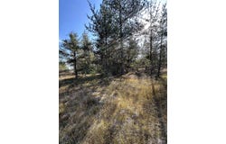 110 N Marshall Drive, Gwinn, MI 49841