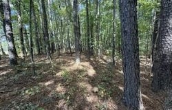 3 Whittington Road, Angier, NC 27501
