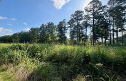 340 CR 1109, Maud, TX 75567