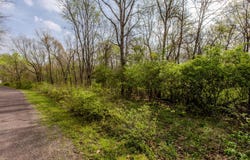 56,57 Summit Drive, Mackinaw, IL 61755