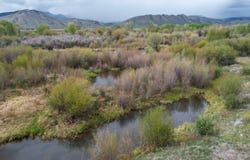 4200 N, Mackay, ID 83251