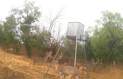 FM 580 Rd, Lampasas, TX 76550