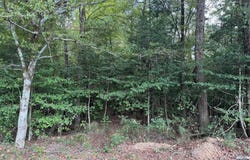 W Cherry Street, Tull, AR 72015