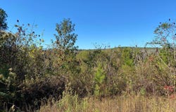 1 Highway 219, Pinetucky, AL 35042