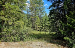 10 HUMES Rd, KETTLE FALLS, WA 99141