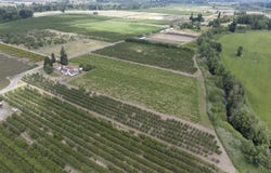 SE UPPER ISLAND Rd, Dayton, OR 97114