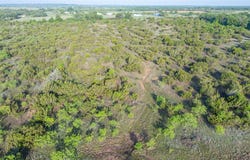 T.B.D. CR 241, Clyde, TX 79510