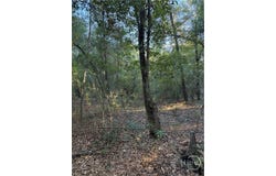 Simmons Street, Guyton, GA 31312