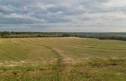 2 County Road 3324, BRUNDIDGE, AL 36010
