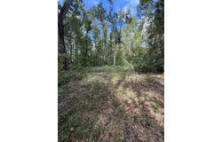 746th St, Old Town, FL 32680