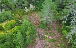 4 BONNETT Way, Florence, OR 97439