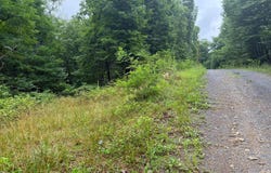 TR D-15 DEER PATH Road, AUGUSTA, WV 26704