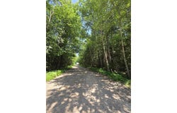S Cottage Rd, Barbeau, MI 49710