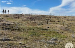 Buckskin Road, Roundup, MT 59072