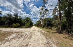 460th St, Cross City, FL 32628