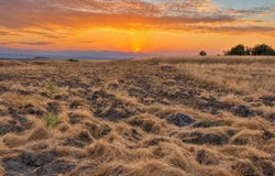 1 Hwy 145, Madera, CA 93636