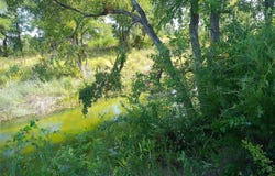 Serenity Dr lot: 22, Bertram, TX 78605