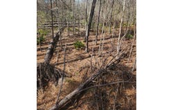 47 River Trails, Naylor, GA 31641