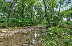 N Farm Road 53, Walnut Grove, MO 65770